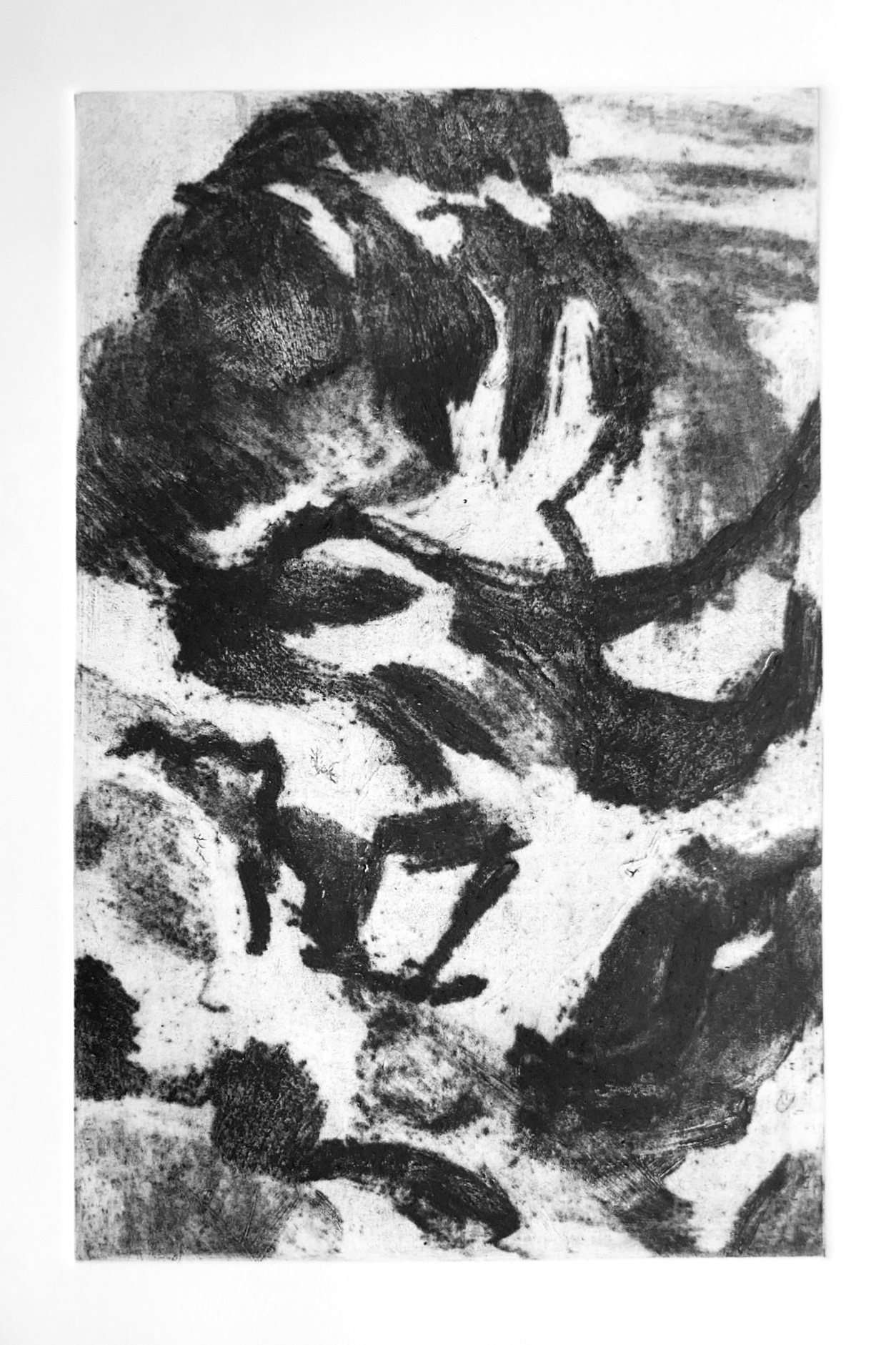 ramures2